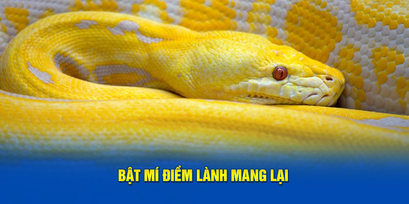 Bật mí điềm lành mang lại