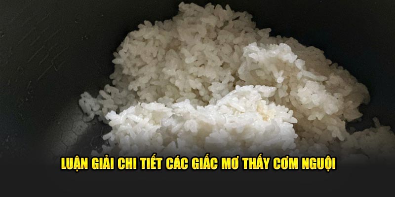 Luận giải chi tiết các giấc mơ thấy cơm nguội